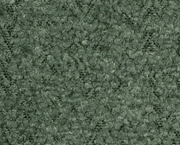 cage-011.jpg